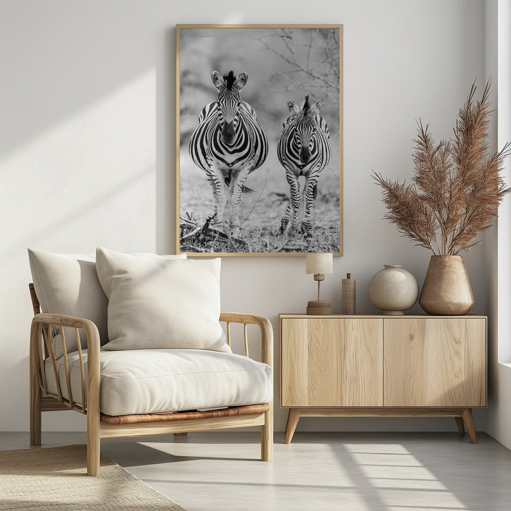 Gestreiftes Pferd vorne | Poster