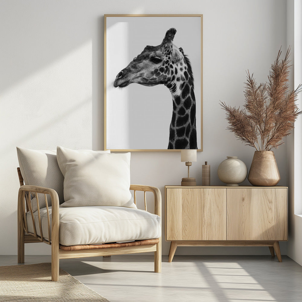 Komplizierte Muster der Giraffenhaut | Poster