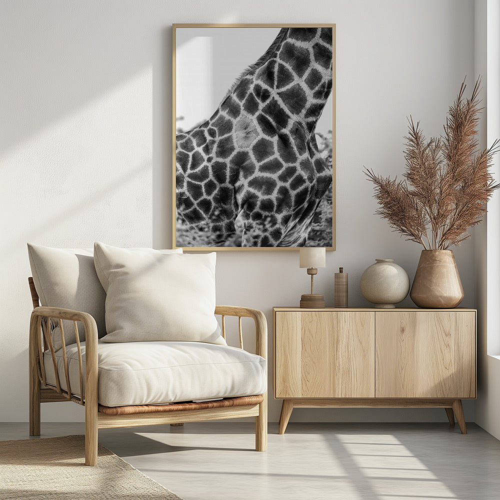 Intricate Patterns Of A Giraffe's Skin | Poster