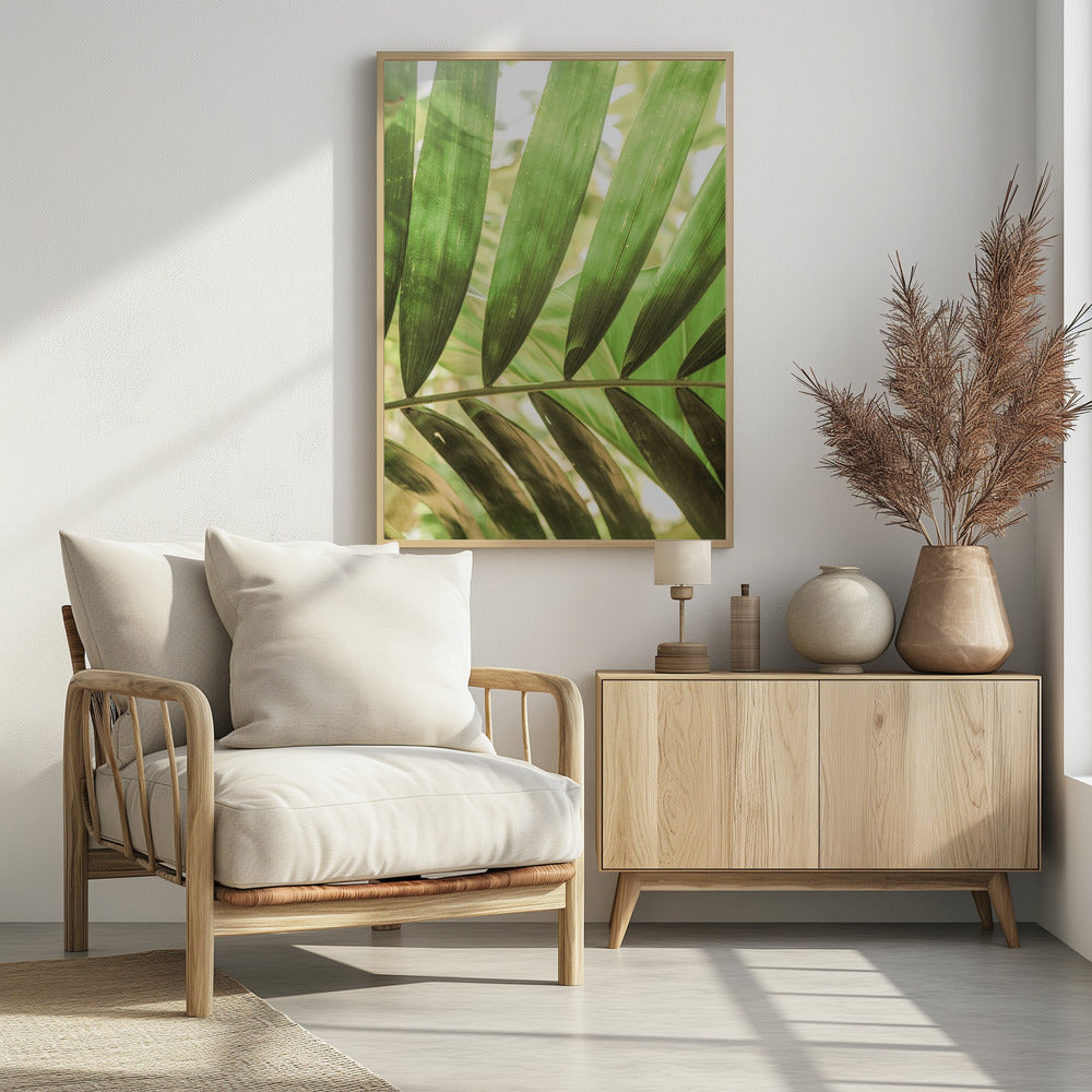 Schönheit der Palmblätter | Poster