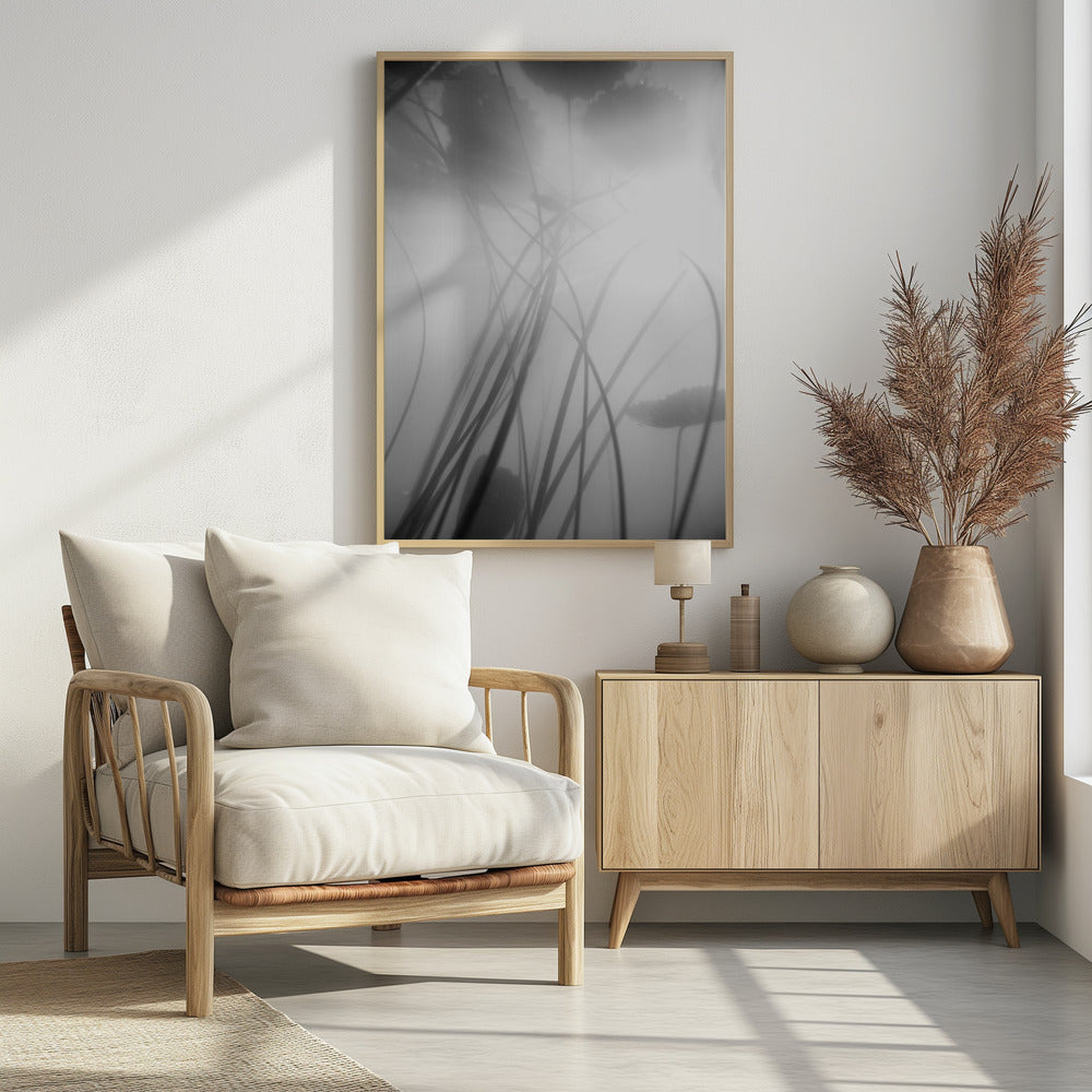 Seerose | Poster