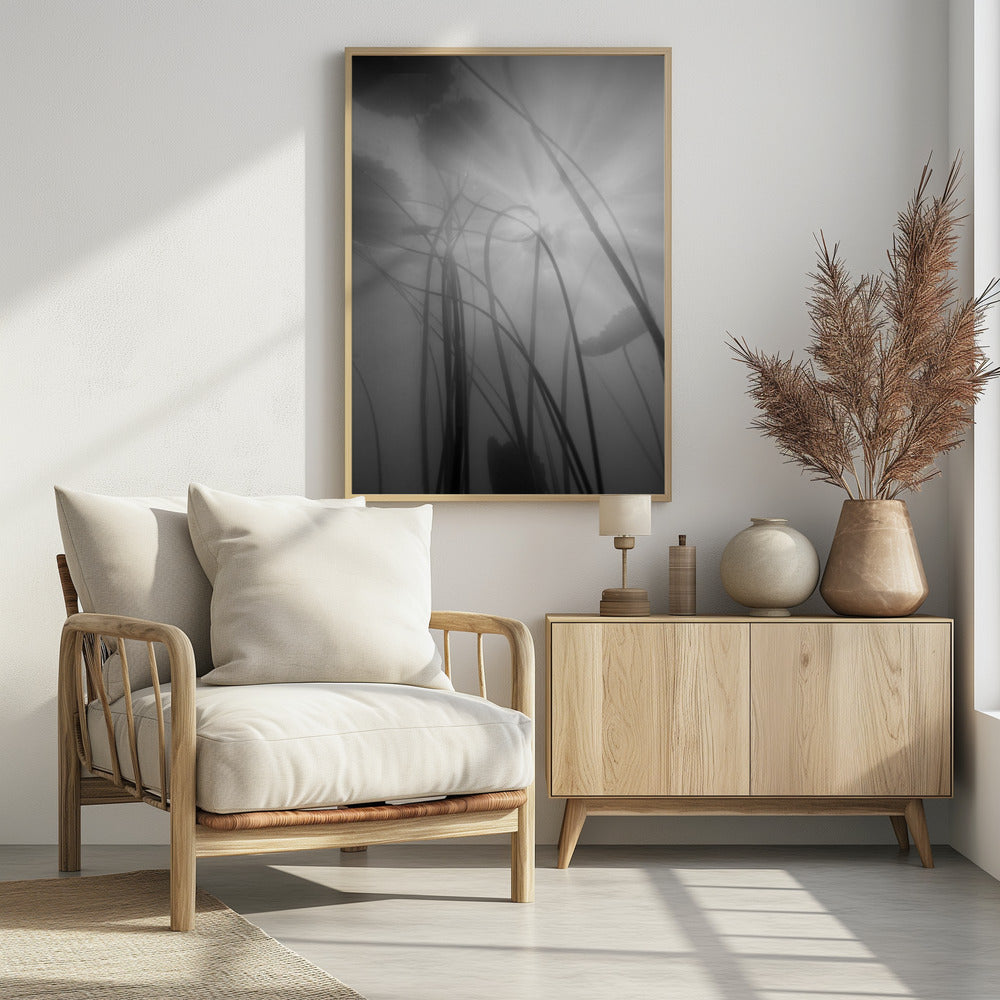 Seerose | Poster