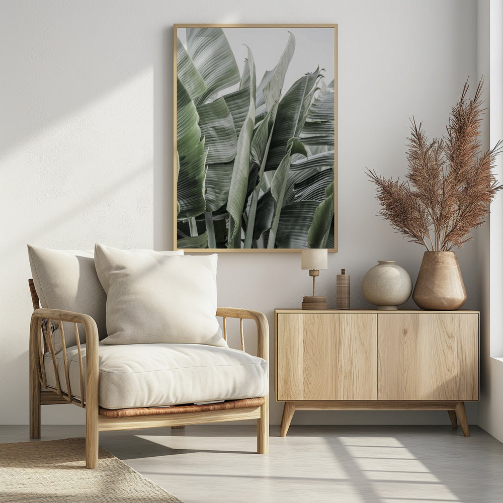 Bananenblätter in sanfter Beleuchtung | Poster