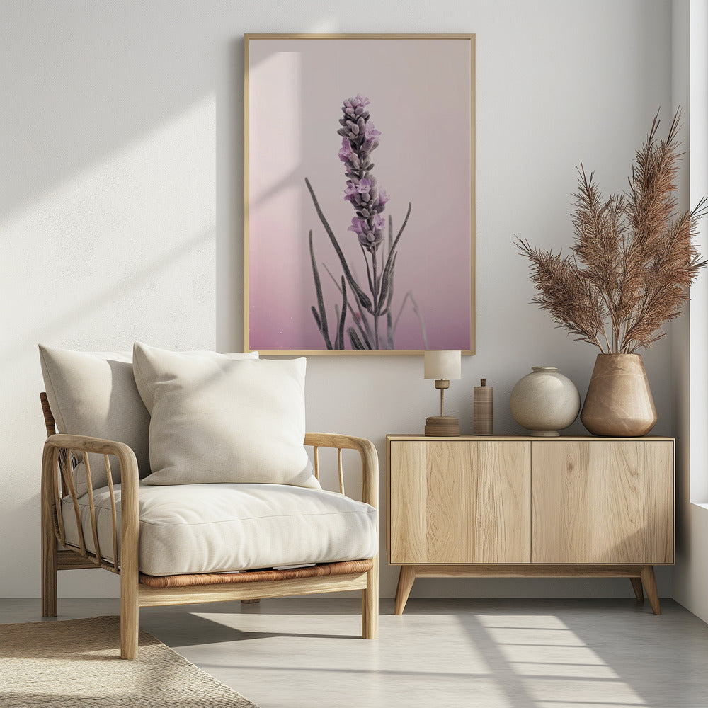 Lavendelträume | Poster