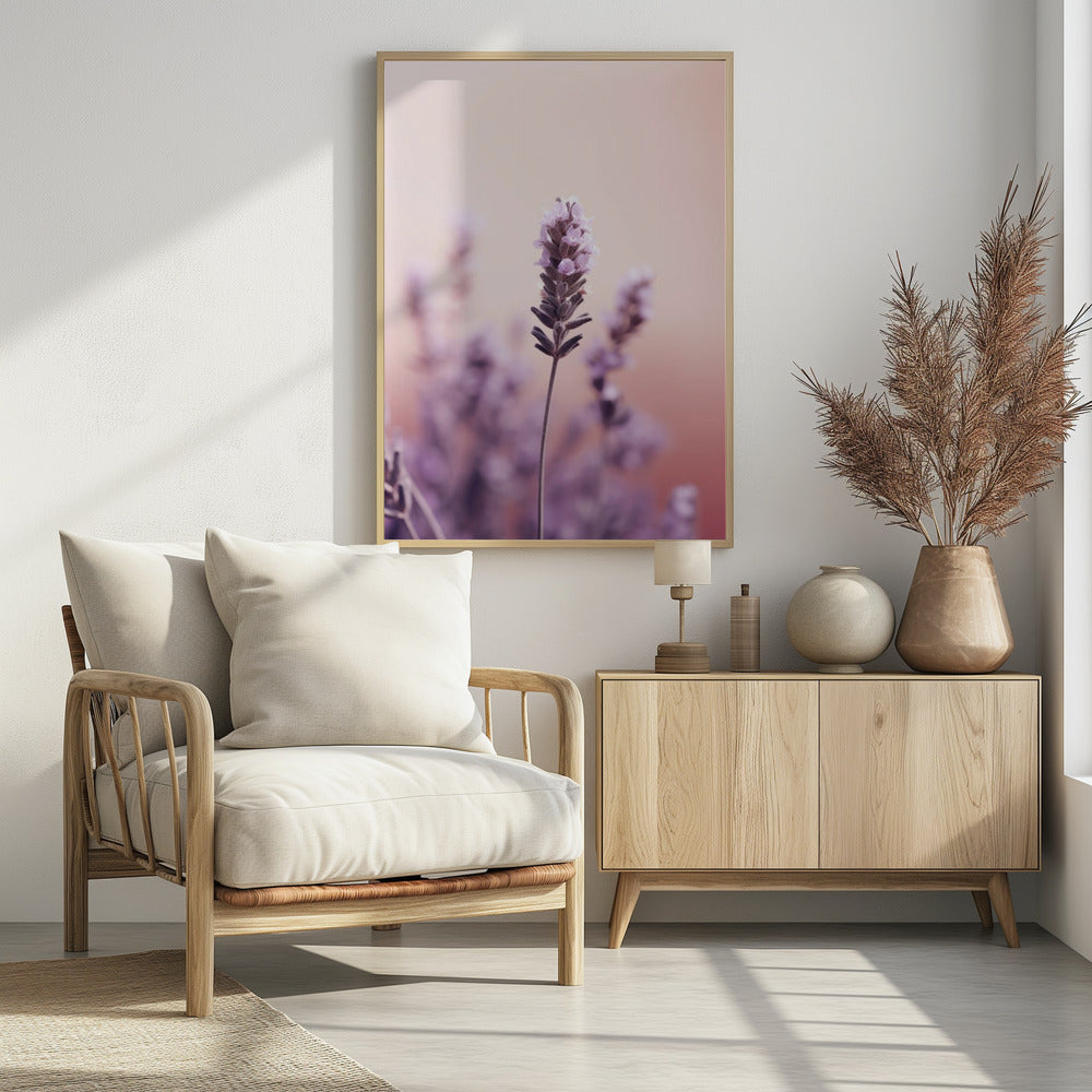 Lavendel-Gelassenheit | Poster