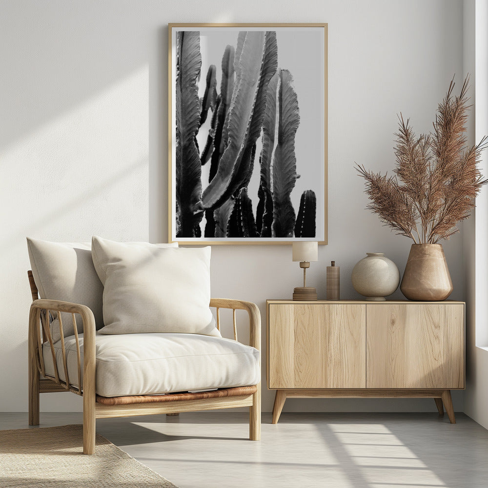 Cactus Elegance | Poster