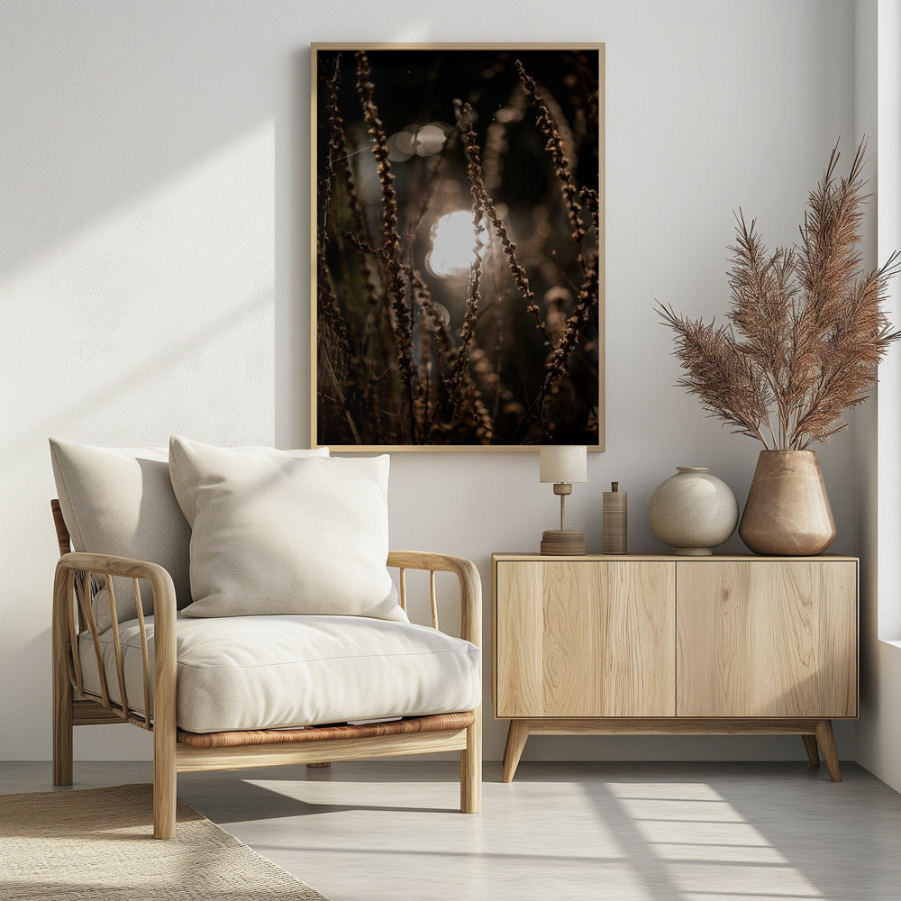 Herbstlichter 2 | Poster