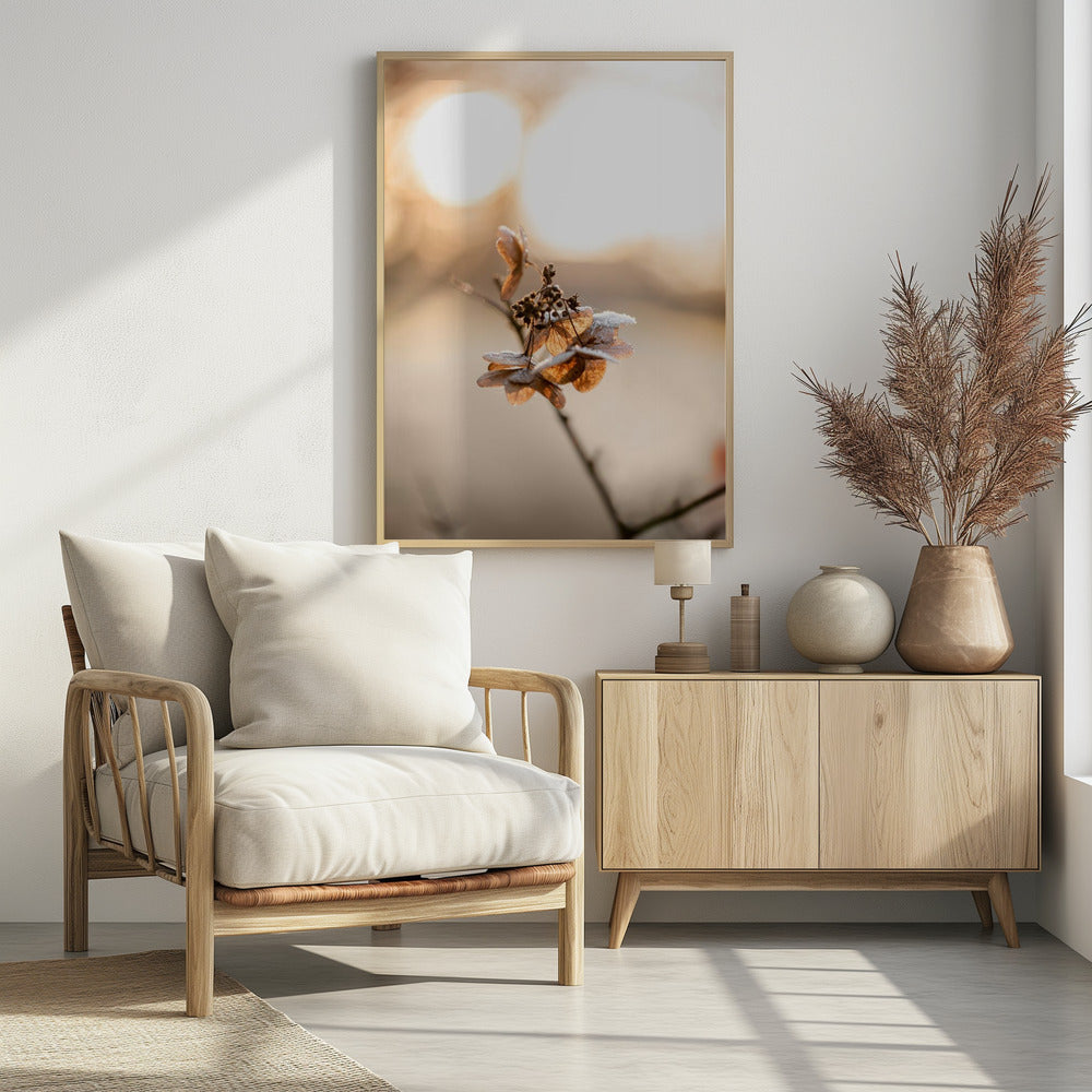 Hortensie 4 | Poster