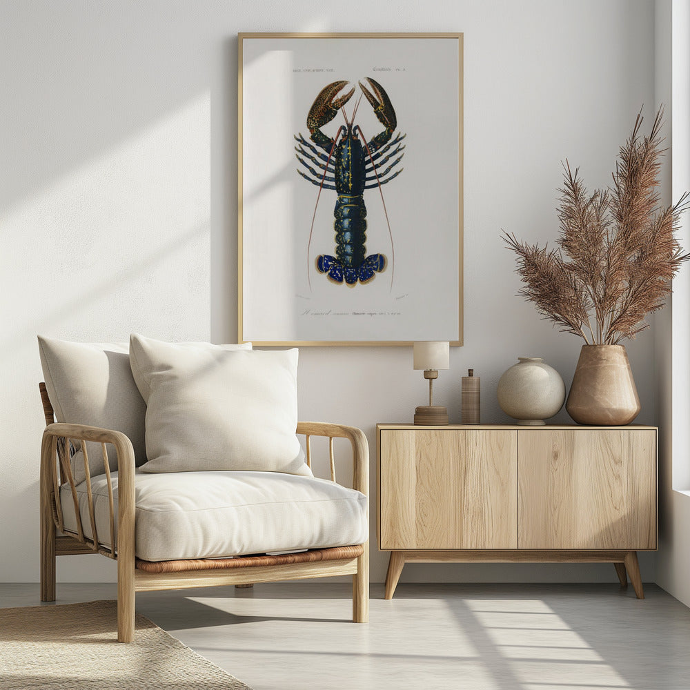 Purpurrote Flusskrebse | Poster