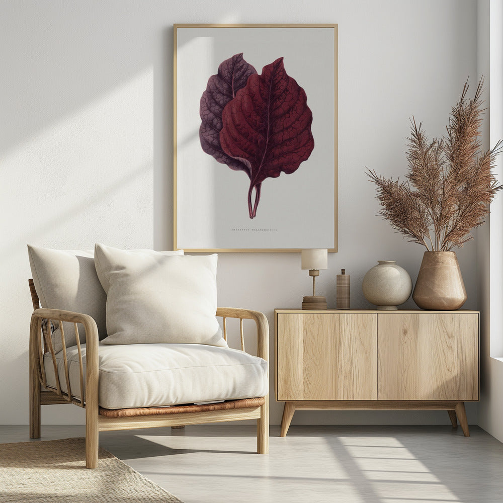 Rosa Amarantblatt-Illustration | Poster
