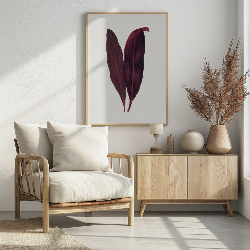 Rosa Dracaena Ferrea Blatt Illustration | Poster