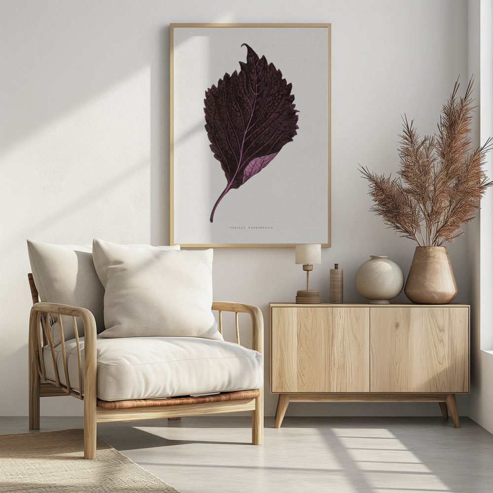 Rosa Perilla Nankinensis Blatt Illustration | Poster