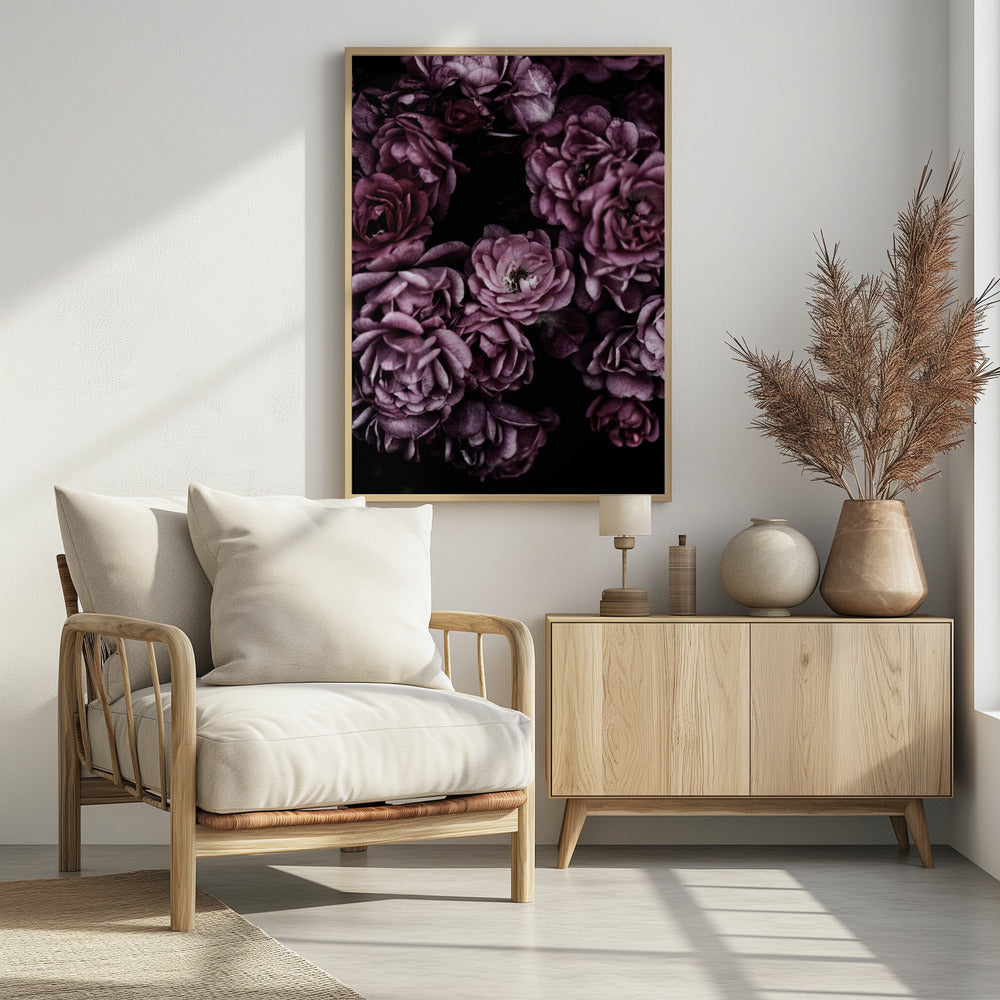 Wilde Rosen | Poster