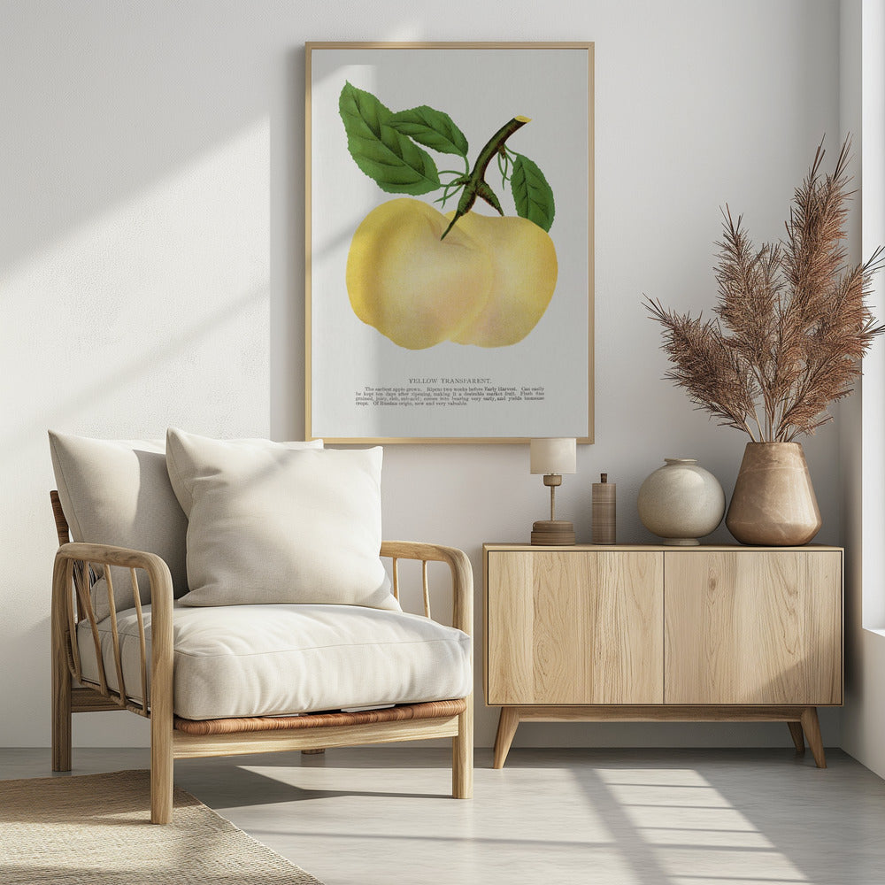 Gelbe transparente Apfel-Lithografie | Poster