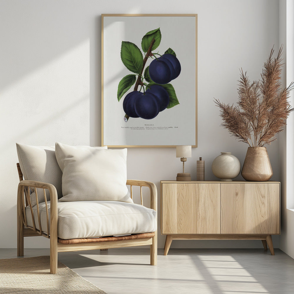 Niagara Plum Lithographie | Poster