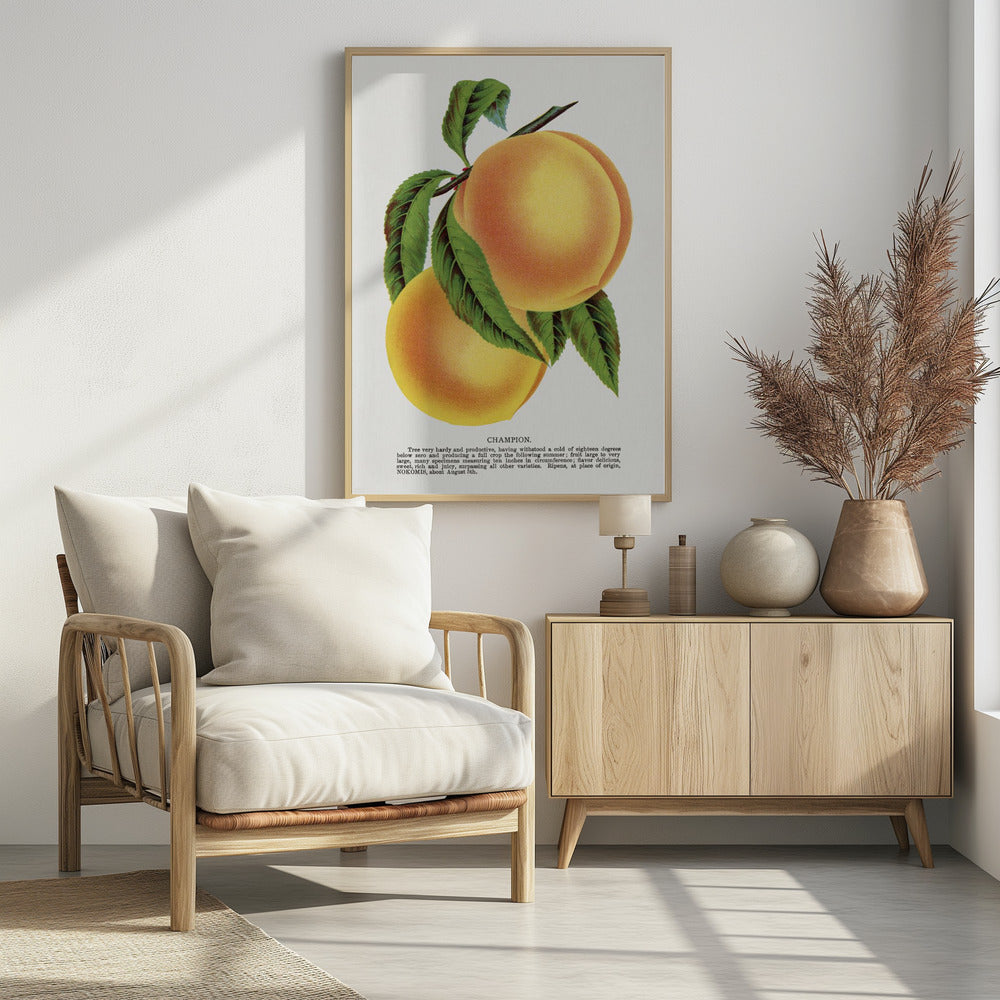 Champion Plum Lithograph | Poster