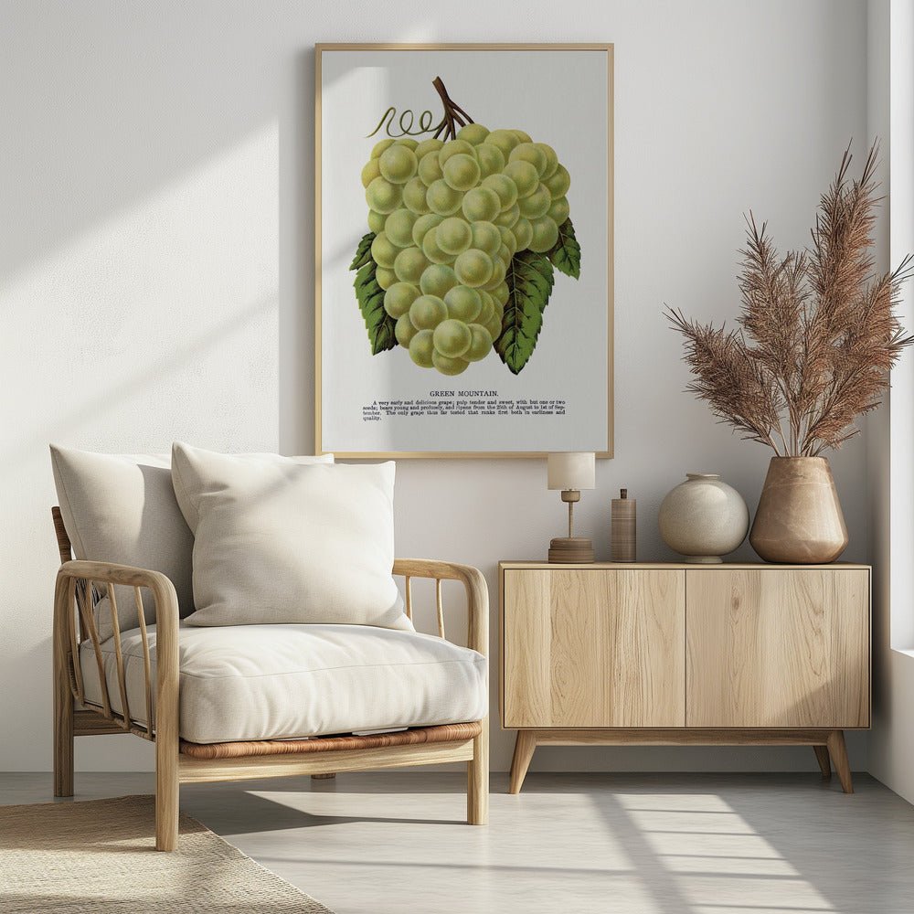 Lithografie „Grüne Bergtraube“ | Poster
