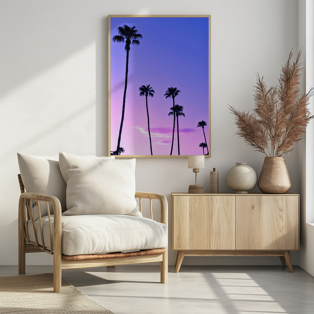 Palmen-Sonnenuntergang | Poster