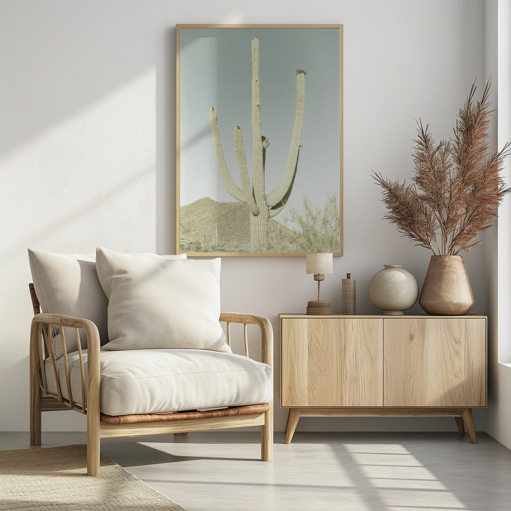 Saguaro Nationalpark Poster