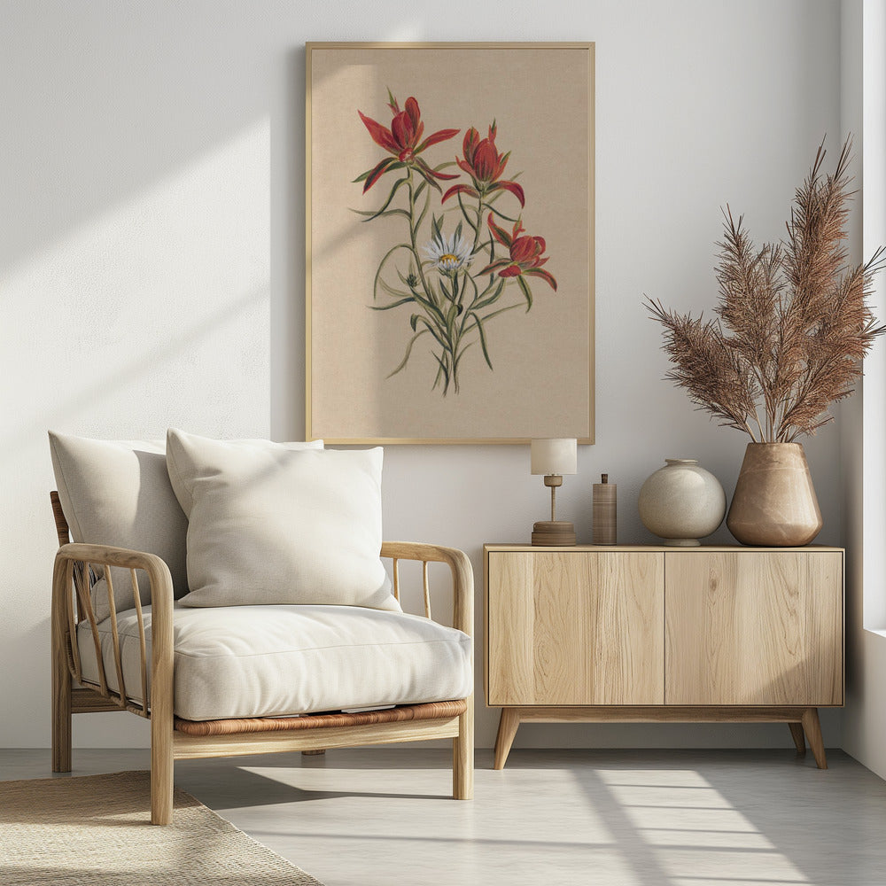 Indian Paintbrush (1883) | Poster