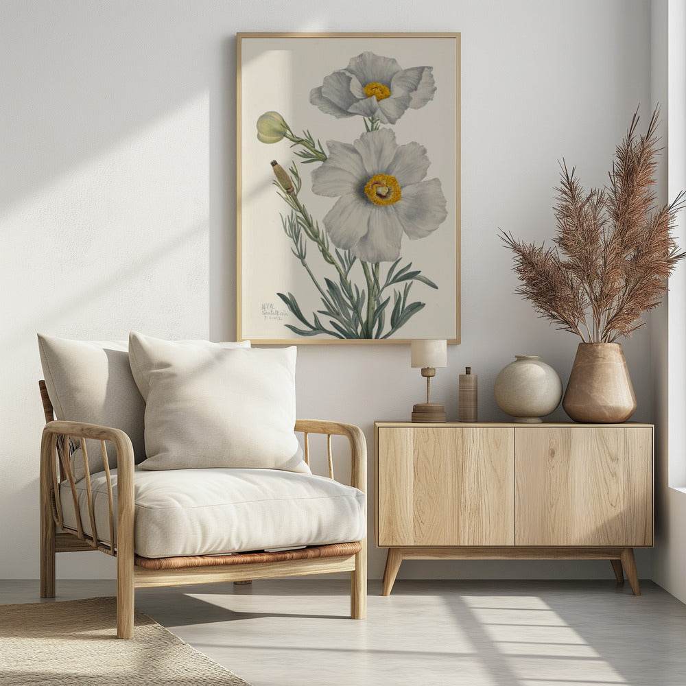Matilija Poppy | Poster