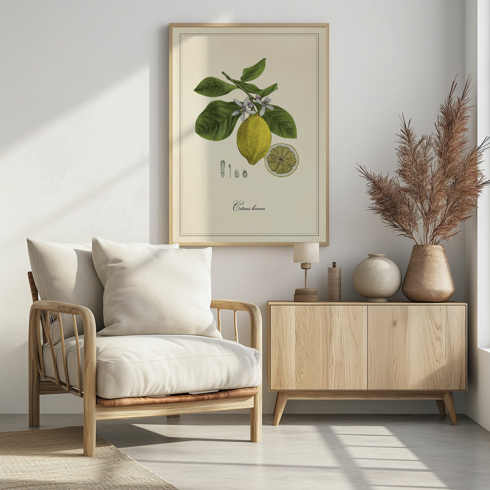 Zitrone | Poster