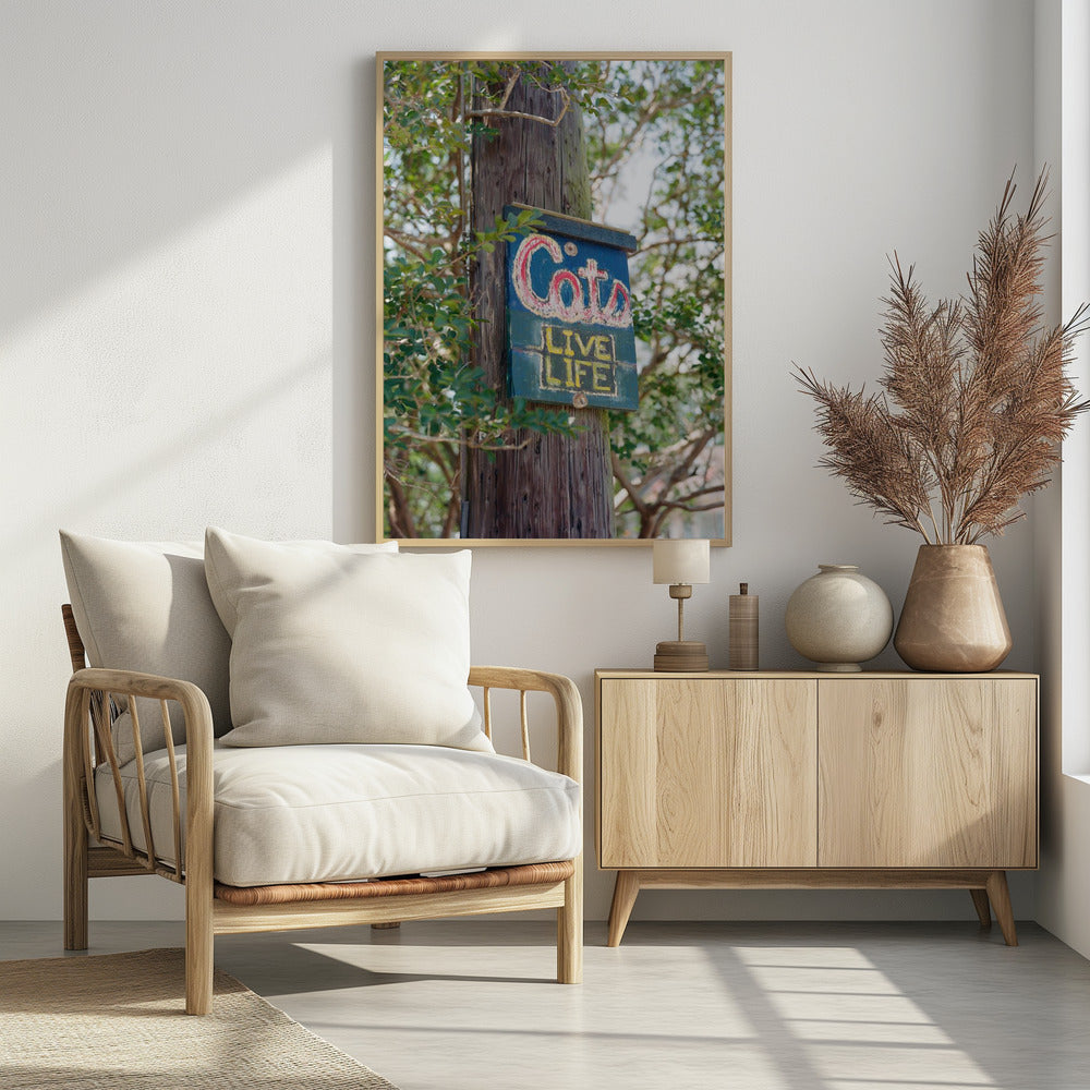 New Orleans Katzen | Poster