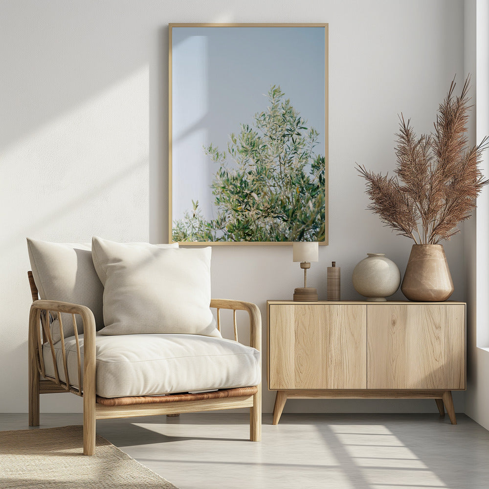Oliven in Ostuni | Italien Reisefotografie | Poster