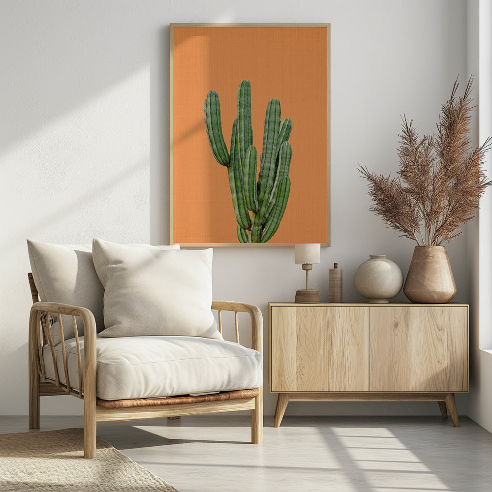 Oranger Kaktus | Poster