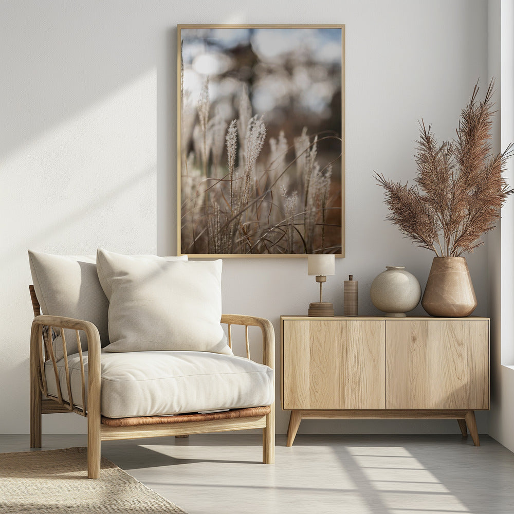 Gras 19 | Poster