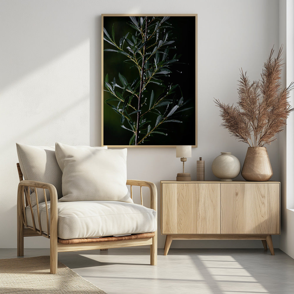 Winterzweige 6 | Poster