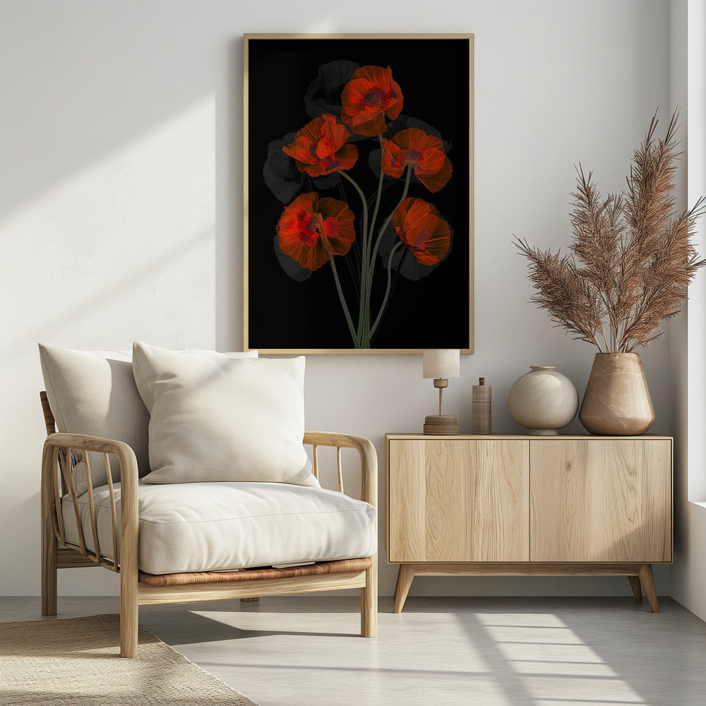 Eisiger roter Mohn | Poster