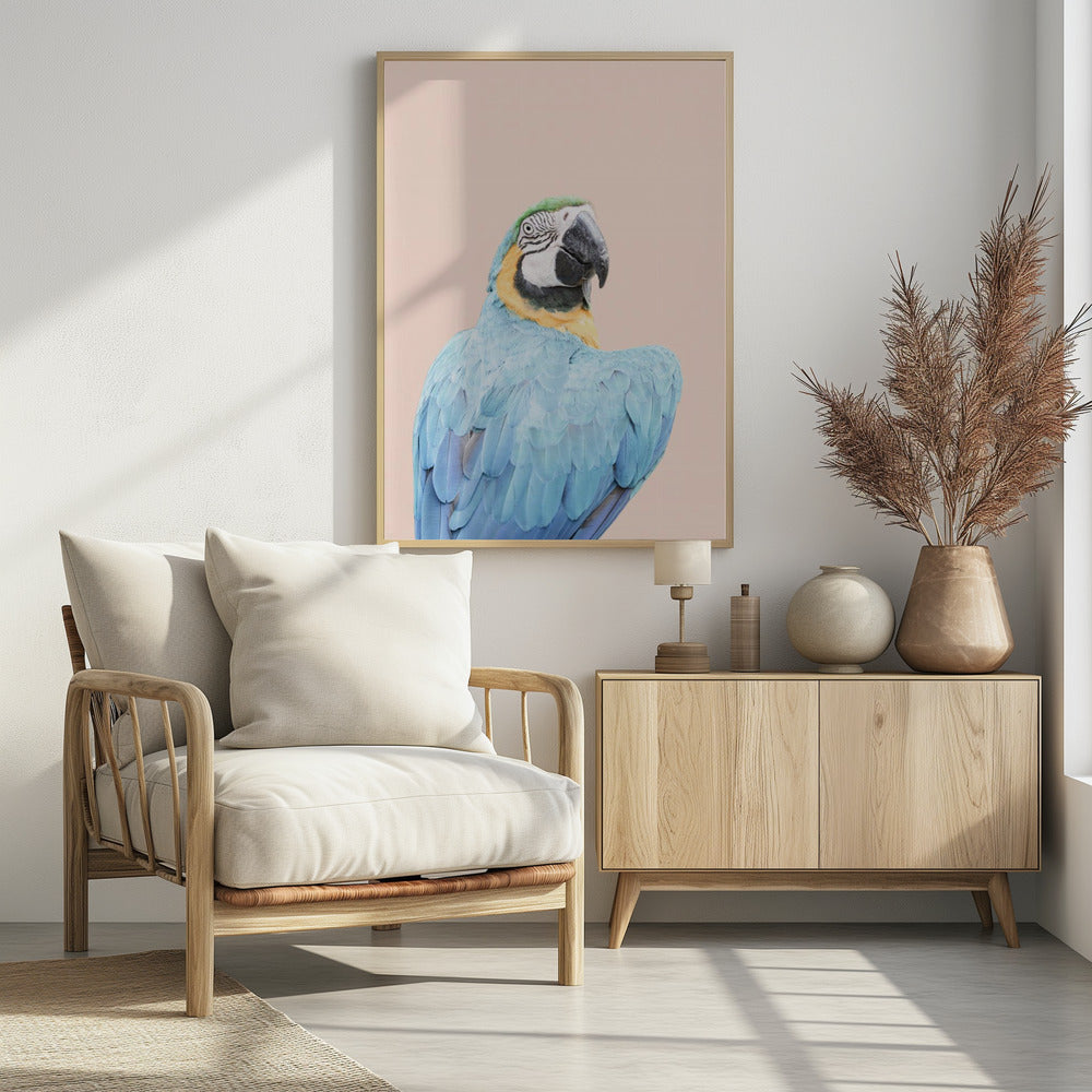 Blauer Ara | Poster