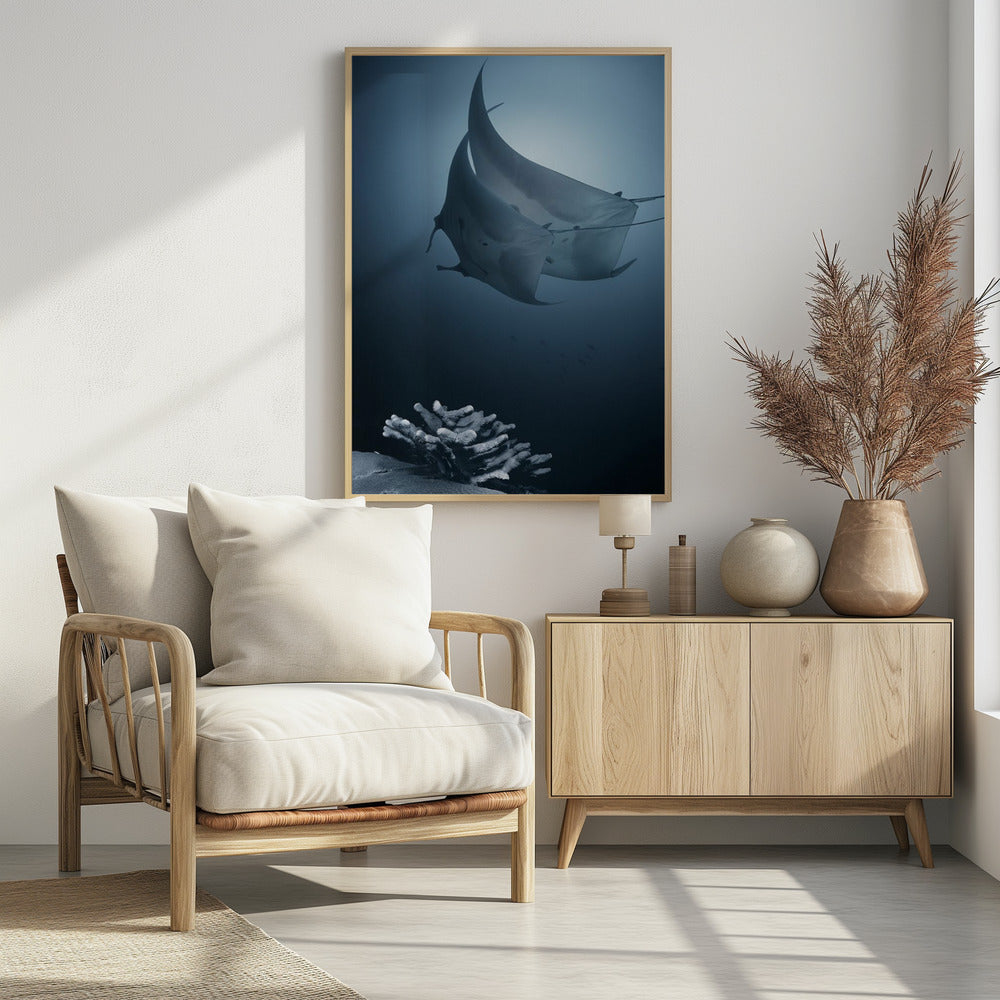 Sonate | Poster