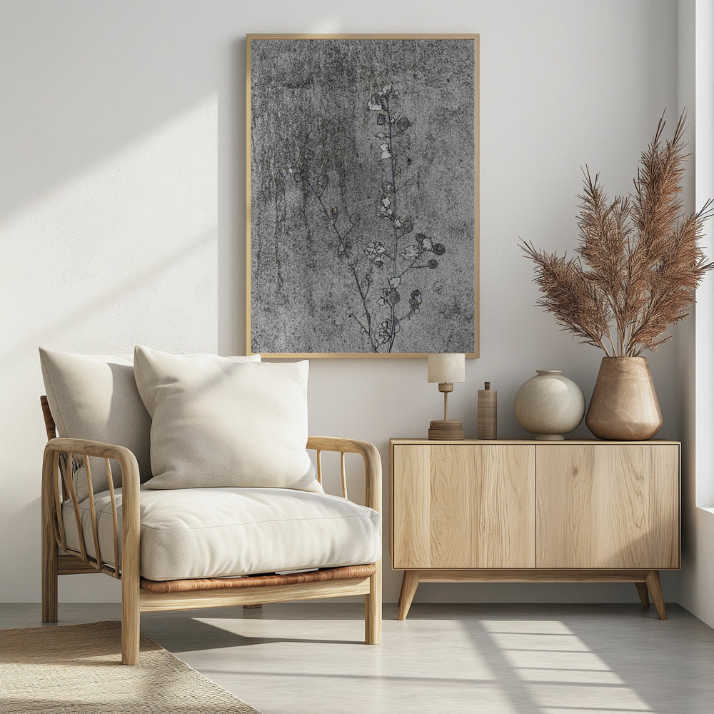 Delicate Decay | Poster