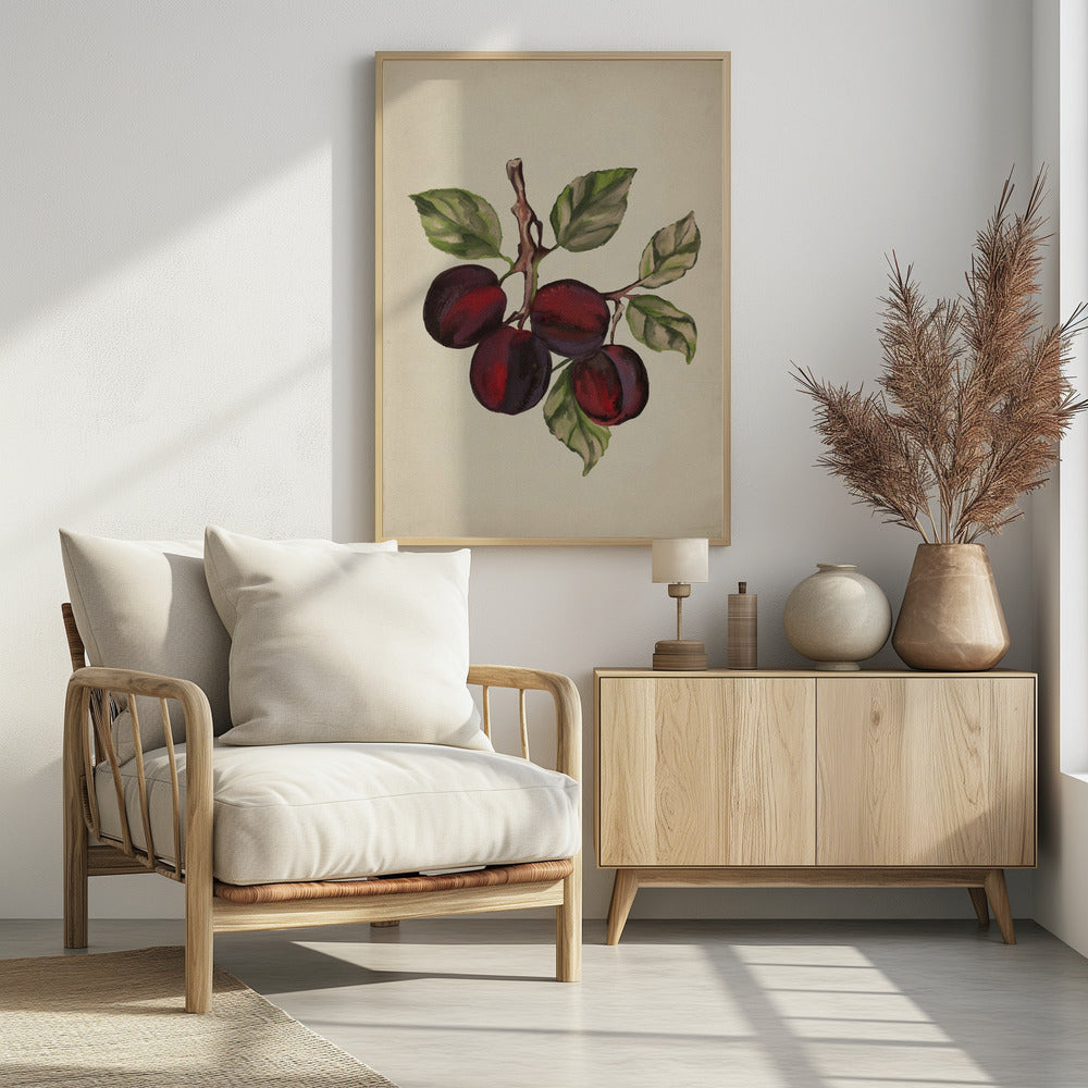 Vintage-Obstsammlung | Poster