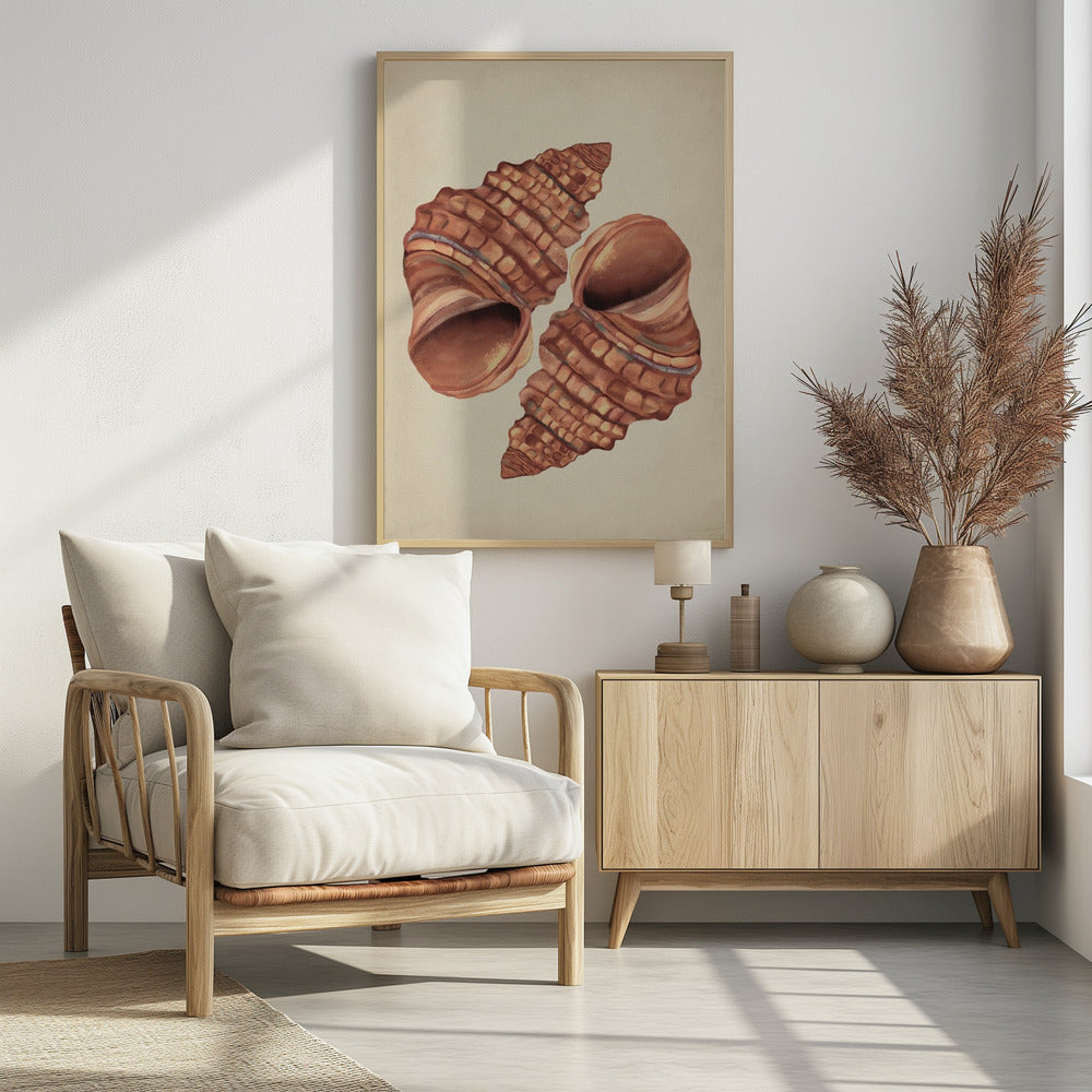 Muschel Vintage | Poster