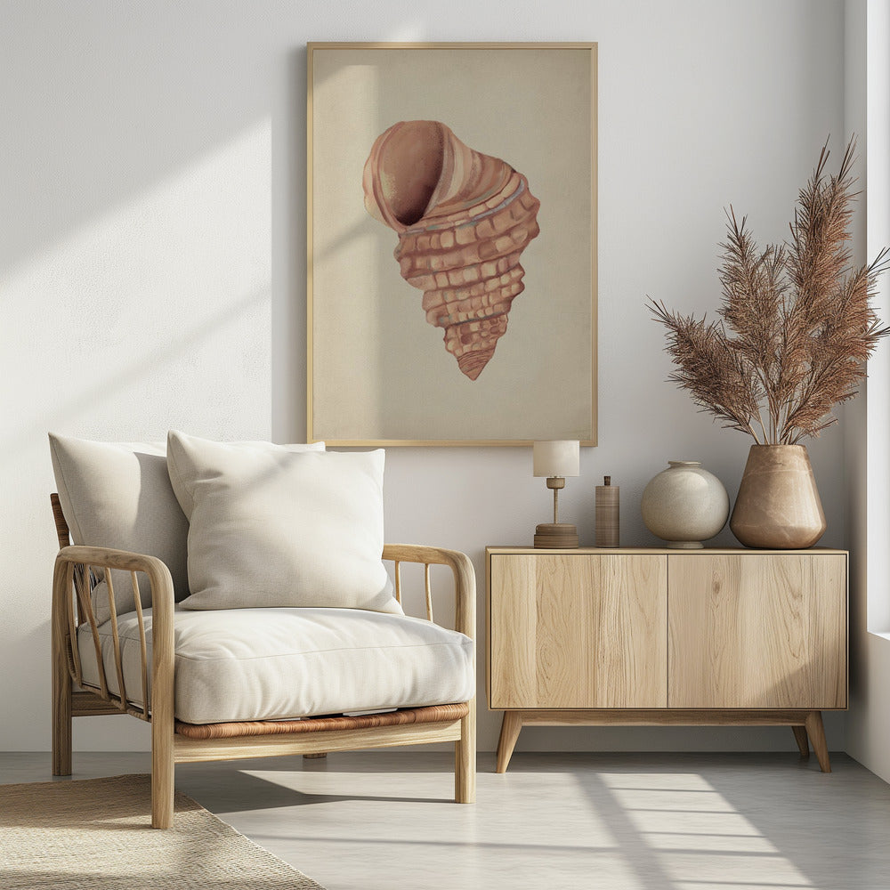 Rosa Muscheln | Poster