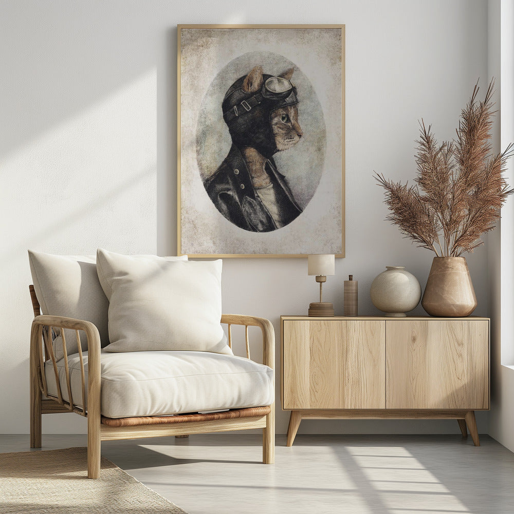 Stilvolle Katze in Lederjacke | Poster