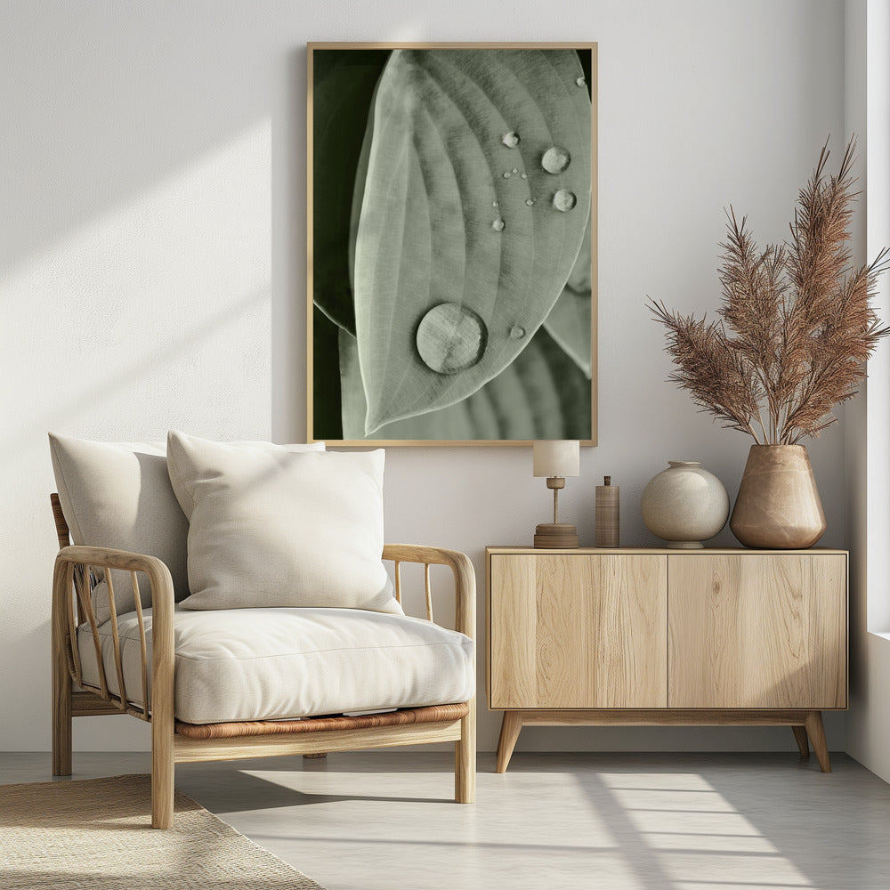 Tau auf Blatt Eleganz | Poster