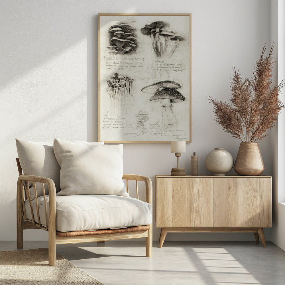 Verschiedene botanische Pilze | Poster