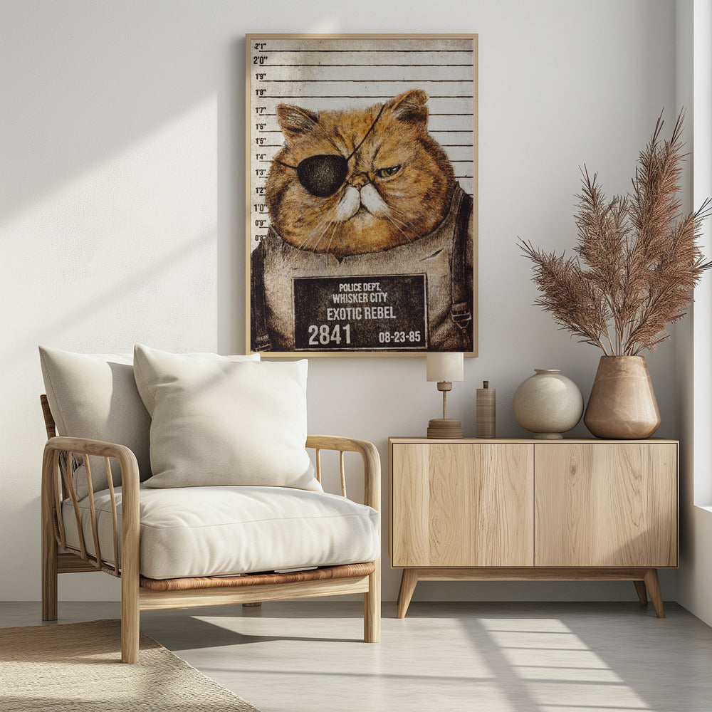 Lustige Katze | Poster