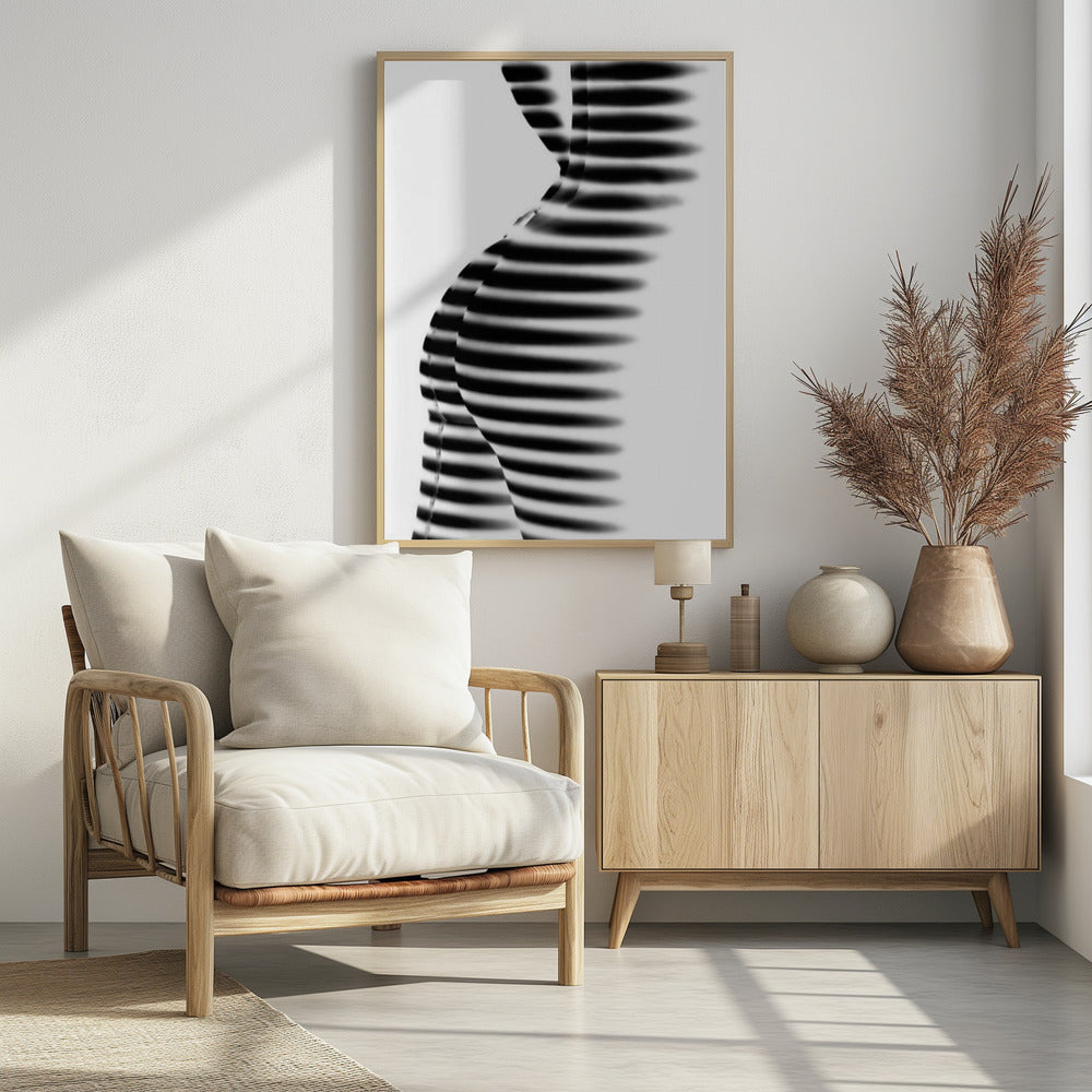 Zebra | Poster