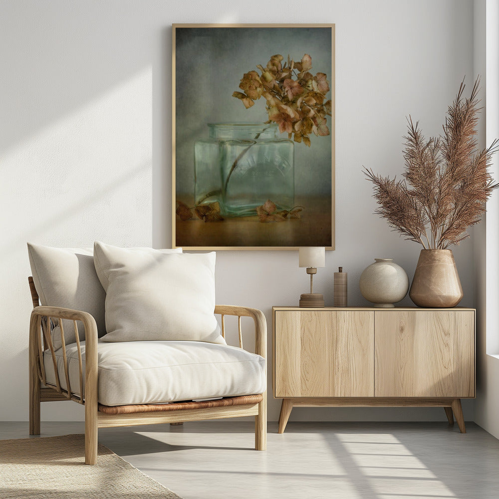Hortensie | Poster