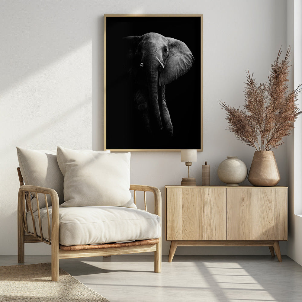 Elefant! | Poster