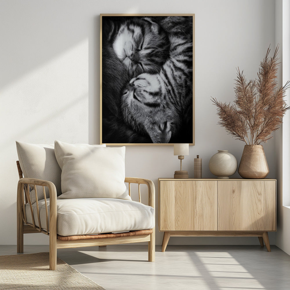 Yin und Yang | Poster