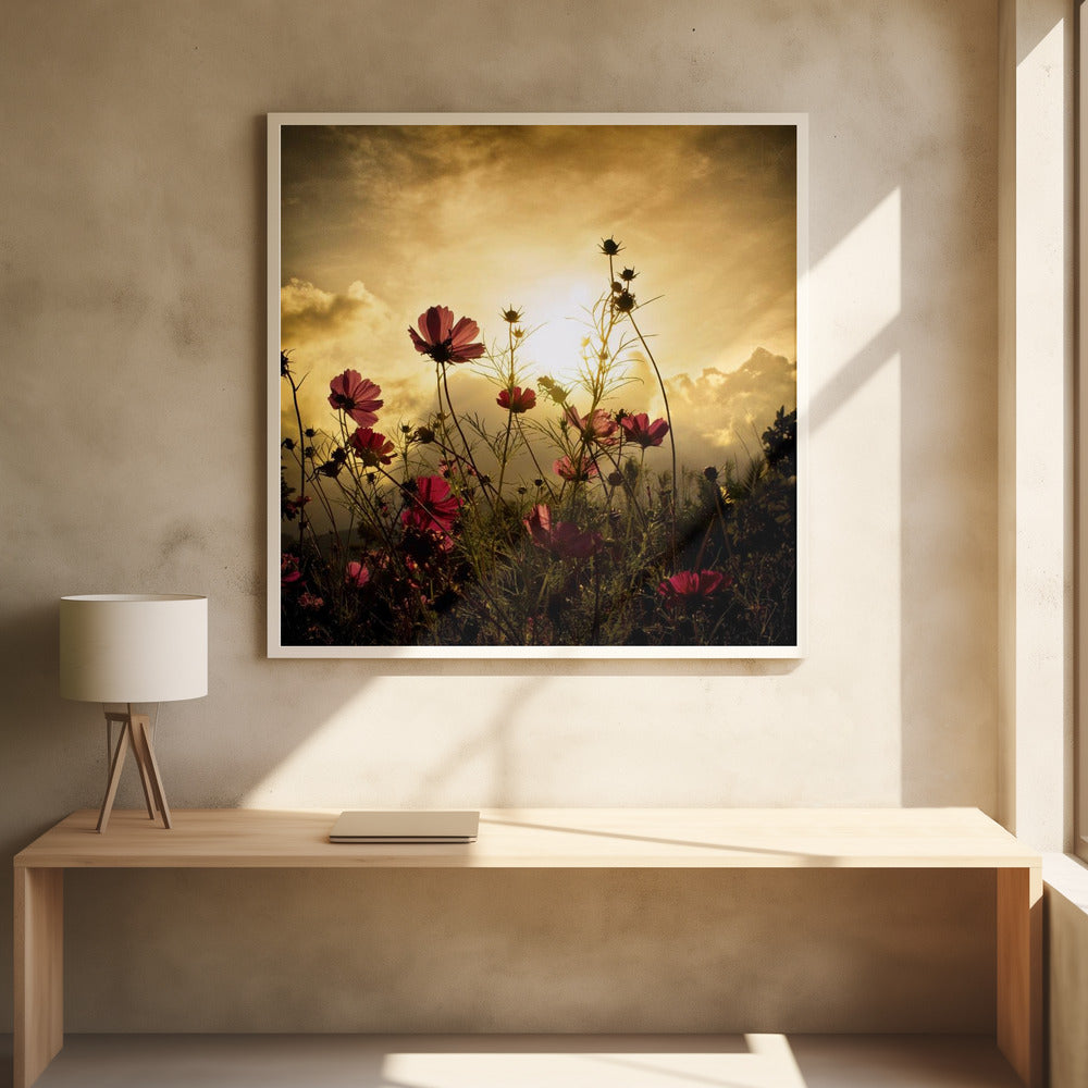 Die Sonne beobachten | Poster