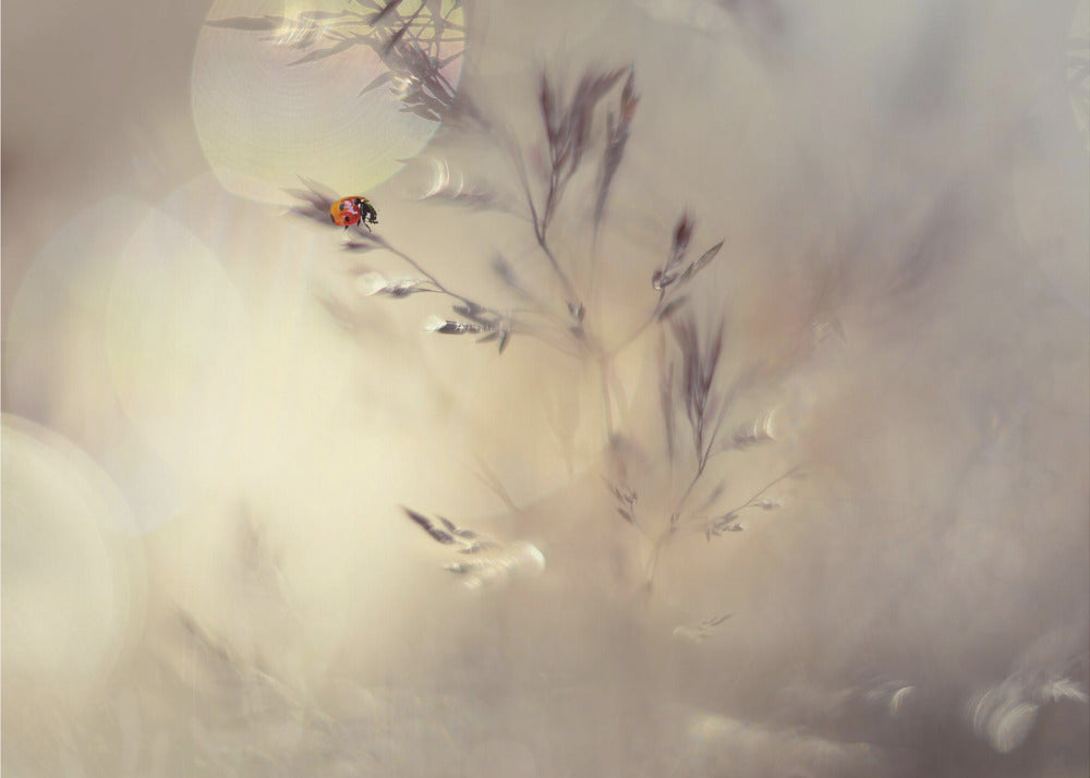 Kleine Dame | Leinwand