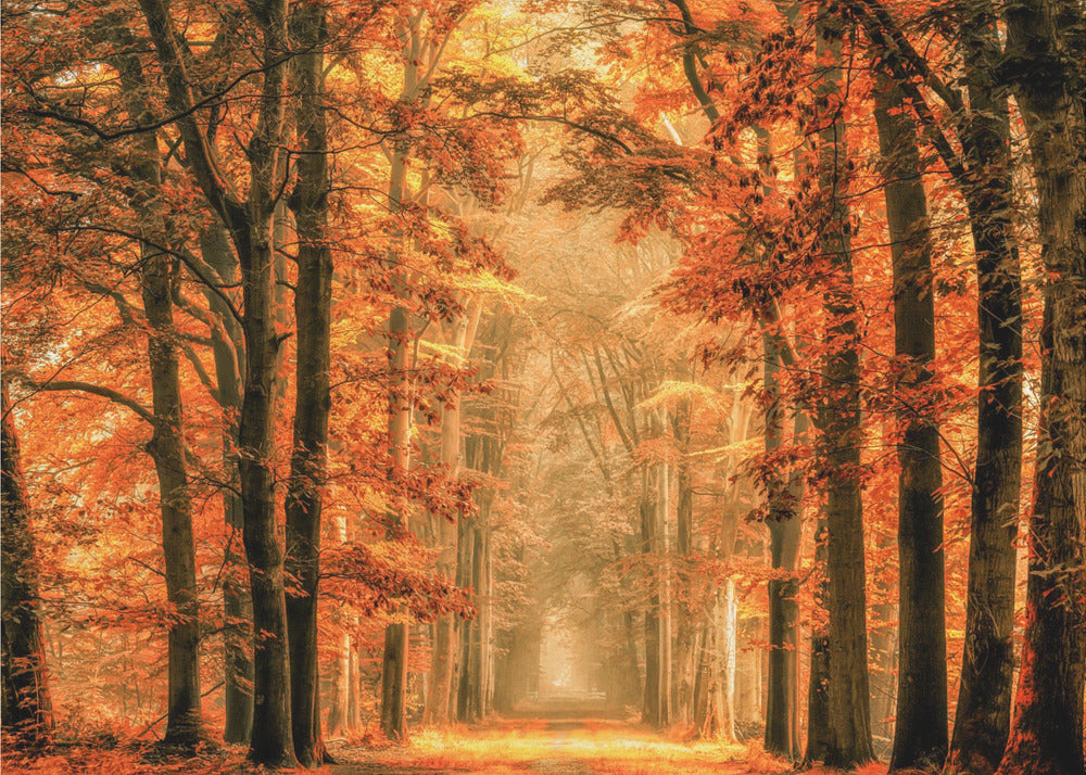 Verlasse das Portal | Hintergrundbild
