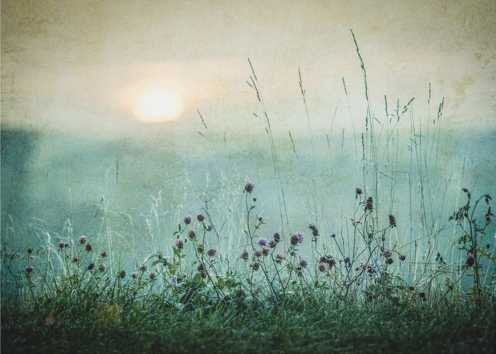 Herbstsonnenaufgang | Hintergrundbild
